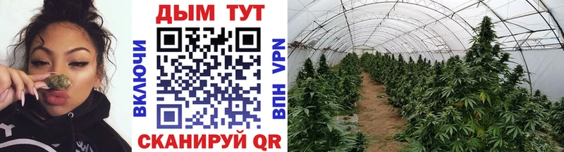 Магазин наркотиков Кимры Метадон  МЕФ  КОКАИН  ГАШ  Марихуана  A PVP 