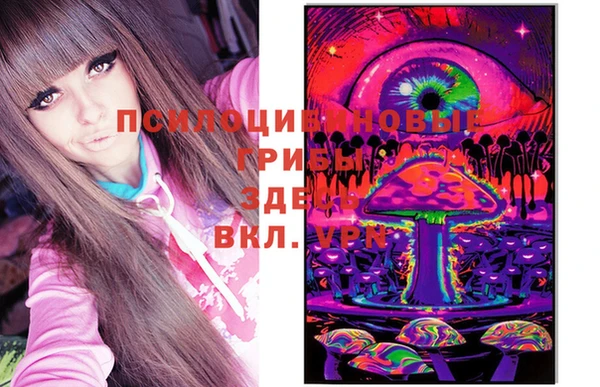 бошки Алексин