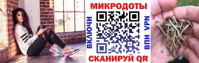 darknet как зайти  что такое наркотик  Кимры  Галлюциногенные грибы Cubensis  блэк спрут как войти 