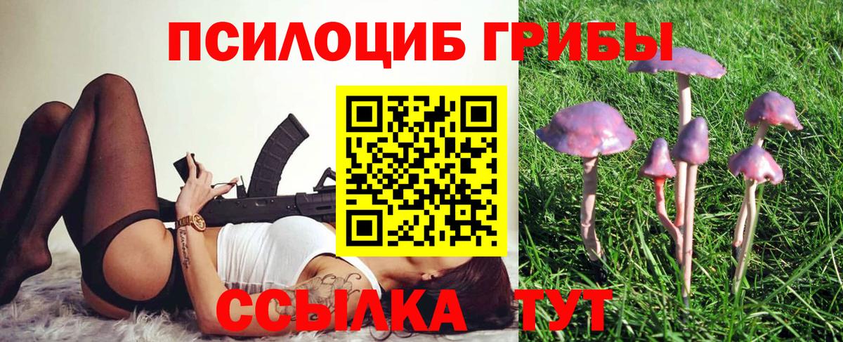 даркнет сайт  Галлюциногенные грибы Psilocybe  Вход с VPN  Кимры  Псилоцибиновые грибы мицелий 