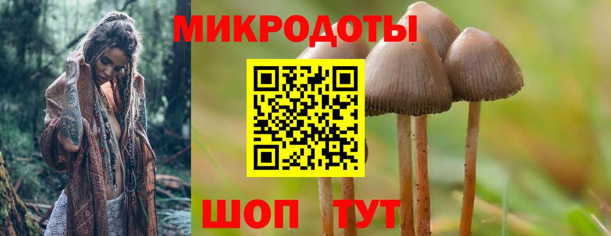 Псилоцибиновые грибы GOLDEN TEACHER Кимры