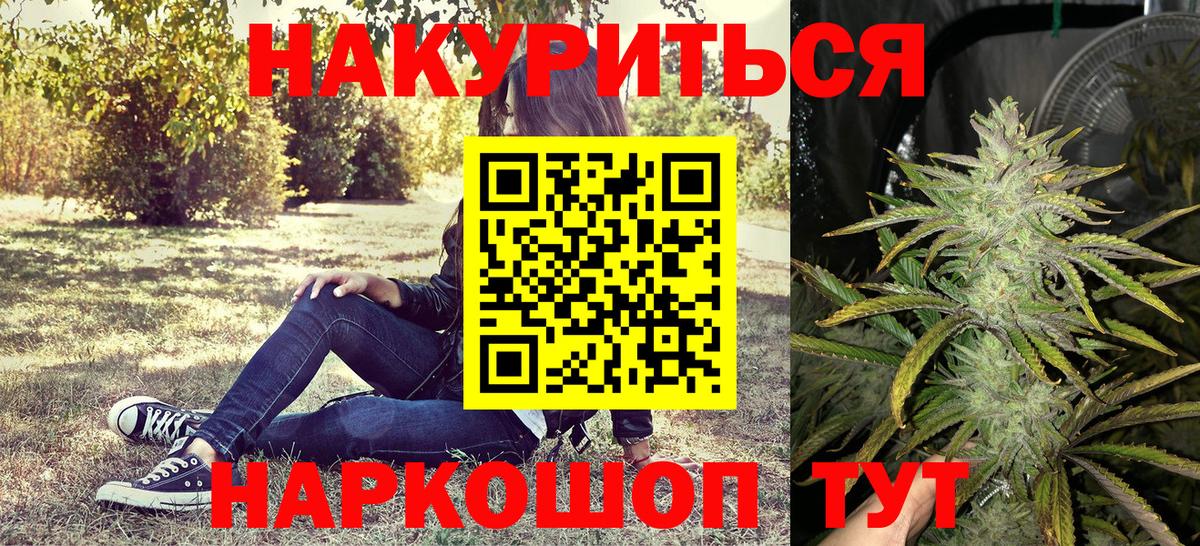 Бошки марихуана сатива Кимры